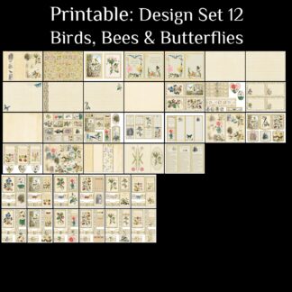 Pretty Paper Design Set - 12 - Birds-Bees & Butterflies